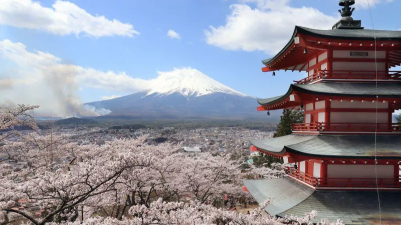 Fujiyoshida Cancels Cherry Blossom Festival Due to Tourist Misbehavior