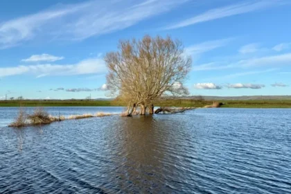 Title: Parts of England and Wales See Rain Every Day in 2026