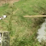 Serial Killer Steve Wright Admits 1999 Murder of Teen Victoria Hall