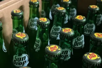 Family-Owned Soda Company Keeps Returnable Glass Bottle Tradition Alive In the US, about 127 billion plastic bottles are bought every year. Yet one Midwestern soft drink company is holding on to the old-school way of selling soda in returnable glass bottles. A Tradition Almost Lost Until the 1960s, most soda bottles in the US were designed to be returned. Customers paid a deposit for sturdy glass bottles, which they returned to stores for a refund. The bottles were then washed and refilled repeatedly. The rise of plastic bottles phased out this system, but Twig's Beverage, a family-owned company in Shawano County, Wisconsin, has kept it alive. Customers pay a $20 deposit for a case of 24 bottles. They can even visit Twig's factory in Shawano to refill bottles, some of which are over 60 years old. Nostalgia and Community Ben Hartwig, Twig's vice-president, says families have been bringing back the same bottles for generations. "Cases get passed down, and the next family member brings them in," he says. "Long-time customers love the nostalgic feel and treat these cases like gold." Some 16oz bottles still date back to the 1960s and 70s, and they continue to go through Twig's washing process today. Sun Drop and Real Sugar Established in 1951 by Floyd Hartwig, Twig's signature soda is Sun Drop, a citrus-flavored drink first developed in Missouri in the 1940s. Although US drinks giant Keurig Dr Pepper owns the brand, Twig's makes Sun Drop under license for sale in its Wisconsin territory. It is the last Sun Drop producer to use returnable glass bottles instead of plastic and one of the few still using real sugar instead of high fructose corn syrup. Twig's also produces its own line of fruit sodas, including root beer, black cherry, orange, and lime. While Sun Drop can only be sold in Wisconsin, Twig's is expanding its own soda brand across the Midwest. These new bottles will not be returnable due to distance, so customers outside the state are encouraged to recycle them. Family Business and Local Culture Twig's story began when Floyd Hartwig, recovering from wounds in the Korean War, conceived the soda business idea. Post-World War Two economic growth and a rise in take-home drinks helped the business flourish. In 1986, Floyd’s son Dan took over to keep the company in the family. Today, Ben Hartwig runs Twig's with his wife Annelies and brothers Jake and Luke. The company employs 20 people and earns around $6.5 million annually. Sun Drop Dayz, a local fundraiser with live music and activities, has been celebrated every June since 2017. Visitors can also tour Twig's museum to see the soda-making process firsthand. Looking Ahead Twig's continues to honor its tradition of returnable glass bottles while expanding its own soda brand in the Midwest. With a focus on nostalgia, real sugar, and community, the company blends heritage with growth.