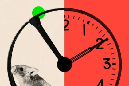 The race to dominate artificial intelligence has sparked a new work trend in the tech world. Some companies now expect employees to work nearly 70 hours a week. This intense schedule, known as 996, means working from 9am to 9pm, six days a week. While many workers find this exhausting, some tech firms see it as the price of staying ahead. The Rise of 996 in the United States A New York based AI company, Rilla, openly promotes long work hours in its job listings. The company offers high pay, free meals, gym access, and health benefits. However, it clearly states that employees should expect to work around 70 hours a week. Leaders at the company say they want highly driven people. They compare their team to elite athletes who stay focused and obsessed with winning. According to them, the structure is flexible. If someone works late into the night, they can start later the next day. This mindset is spreading across AI start ups. As investment pours into artificial intelligence, companies feel pressure to move fast. Founders worry that if they slow down, a competitor will launch first. The Origins of 996 Culture The 996 work culture first gained attention in China about ten years ago. Major tech leaders supported it. Alibaba founder Jack Ma once described working 996 as a blessing. JD.com founder Richard Liu also defended long work hours and criticized employees who lacked drive. However, many workers pushed back. They complained about unpaid overtime and ignored labor laws. Public criticism grew so strong that Chinese authorities stepped in. In 2021, regulators tightened rules around excessive working hours. Although the practice still exists in some areas, public support has faded. Leaders who openly defended extreme work demands have faced backlash and even lost their positions. Why AI Start Ups Support Long Hours Today, the 996 model has found new supporters, especially in AI focused companies in the United States and Europe. Recruitment experts say venture funded AI start ups often push long hours. They believe speed determines success. If a team builds and launches first, they win funding and market share. Magnus Müller, co founder of Browser Use, runs a small AI company developing tools that help AI systems interact with web browsers. He lives and works in a shared hacker house with his team. For him, long hours feel natural. He says solving complex AI problems requires deep focus. In his view, people who treat the job like a standard 40 hour position may not thrive in such an environment. The Debate Around Hustle Culture Not everyone agrees with this approach. Some investors argue that forcing extreme schedules often leads to burnout. They believe young founders make a mistake when they demand nonstop work from their teams. Critics warn that creativity suffers when employees feel exhausted. In the long run, companies may lose talented workers who want balance. The 996 work culture in the tech industry reflects a deeper issue. The AI gold rush has created urgency and fear of missing out. While some employees enjoy the intensity, others question whether constant hustle truly leads to lasting success.