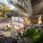Nancy Guthrie disappearance investigation outside her Arizona home