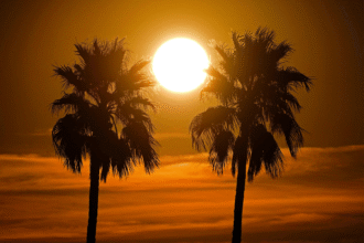 Arizona's temperatures soar to record-breaking levels in March heat Arizona has recorded the highest March temperatures ever in the United States. Extreme conditions were experienced much sooner than normal, raising safety concerns in the entire region. National Weather Service in Las Vegas has warned of the dangers that could arise from this heat early in the season. The high tourist traffic in the region makes this situation more dangerous, particularly for people who are not used to extreme temperatures. Extreme Heat at Unusual Times Normaly, the temperatures do not exceed 40degC in this area until May. This year, however, has been a break from the norm. Residents and experts were surprised by the intense heat that arrived earlier than anticipated. Officials from the weather service explained that this surge was caused by a slow and strong high-pressure system. The system is often called "a heat dome" and trapped warm air in the area. The temperatures were unusually high over a period of several days. Heat Dome Drives Temperature Spike It also prevented cool air from entering. The heat dome effect also held the warm air in place. The temperatures rose by about 6degC or 1degC. These conditions are not only uncomfortable, but they also pose health risks. Long-term exposure to heat extremes can cause dehydration and heat exhaustion. Heatstroke is also possible. Heatwaves on the Rise Due to Climate Change Climate change is being attributed by scientists to the increase in heatwaves. The events have become more frequent, last longer and are more intense. Global temperatures have risen around 1.1degC since the Industrial Revolution. The experts warn that the temperatures will rise unless governments reduce their emissions. Unrest in the Public Safety Sector The government is urging the public to be cautious during periods of extreme heat. To stay safe, it is important to keep hydrated and avoid outdoor activities during rush hours. Climate patterns are changing, and heatwaves that arrive early could be more frequent in the future.