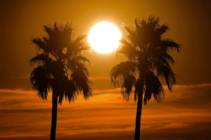 Arizona's temperatures soar to record-breaking levels in March heat Arizona has recorded the highest March temperatures ever in the United States. Extreme conditions were experienced much sooner than normal, raising safety concerns in the entire region. National Weather Service in Las Vegas has warned of the dangers that could arise from this heat early in the season. The high tourist traffic in the region makes this situation more dangerous, particularly for people who are not used to extreme temperatures. Extreme Heat at Unusual Times Normaly, the temperatures do not exceed 40degC in this area until May. This year, however, has been a break from the norm. Residents and experts were surprised by the intense heat that arrived earlier than anticipated. Officials from the weather service explained that this surge was caused by a slow and strong high-pressure system. The system is often called "a heat dome" and trapped warm air in the area. The temperatures were unusually high over a period of several days. Heat Dome Drives Temperature Spike It also prevented cool air from entering. The heat dome effect also held the warm air in place. The temperatures rose by about 6degC or 1degC. These conditions are not only uncomfortable, but they also pose health risks. Long-term exposure to heat extremes can cause dehydration and heat exhaustion. Heatstroke is also possible. Heatwaves on the Rise Due to Climate Change Climate change is being attributed by scientists to the increase in heatwaves. The events have become more frequent, last longer and are more intense. Global temperatures have risen around 1.1degC since the Industrial Revolution. The experts warn that the temperatures will rise unless governments reduce their emissions. Unrest in the Public Safety Sector The government is urging the public to be cautious during periods of extreme heat. To stay safe, it is important to keep hydrated and avoid outdoor activities during rush hours. Climate patterns are changing, and heatwaves that arrive early could be more frequent in the future.