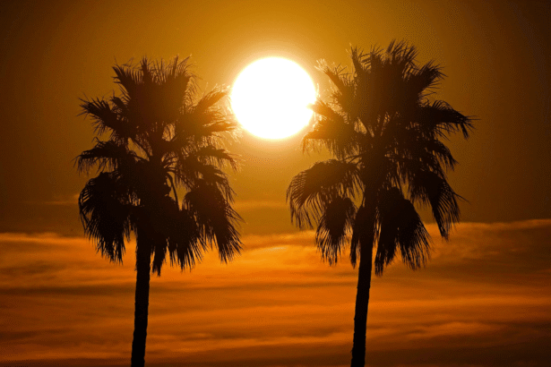 Arizona's temperatures soar to record-breaking levels in March heat Arizona has recorded the highest March temperatures ever in the United States. Extreme conditions were experienced much sooner than normal, raising safety concerns in the entire region. National Weather Service in Las Vegas has warned of the dangers that could arise from this heat early in the season. The high tourist traffic in the region makes this situation more dangerous, particularly for people who are not used to extreme temperatures. Extreme Heat at Unusual Times Normaly, the temperatures do not exceed 40degC in this area until May. This year, however, has been a break from the norm. Residents and experts were surprised by the intense heat that arrived earlier than anticipated. Officials from the weather service explained that this surge was caused by a slow and strong high-pressure system. The system is often called "a heat dome" and trapped warm air in the area. The temperatures were unusually high over a period of several days. Heat Dome Drives Temperature Spike It also prevented cool air from entering. The heat dome effect also held the warm air in place. The temperatures rose by about 6degC or 1degC. These conditions are not only uncomfortable, but they also pose health risks. Long-term exposure to heat extremes can cause dehydration and heat exhaustion. Heatstroke is also possible. Heatwaves on the Rise Due to Climate Change Climate change is being attributed by scientists to the increase in heatwaves. The events have become more frequent, last longer and are more intense. Global temperatures have risen around 1.1degC since the Industrial Revolution. The experts warn that the temperatures will rise unless governments reduce their emissions. Unrest in the Public Safety Sector The government is urging the public to be cautious during periods of extreme heat. To stay safe, it is important to keep hydrated and avoid outdoor activities during rush hours. Climate patterns are changing, and heatwaves that arrive early could be more frequent in the future.