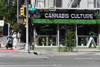 New York Cannabis Industry Still Struggles, Despite Growing Awareness Cannabis is everywhere in New York City five years after its legalization. The industry appears to be thriving, from corner shops and stylish dispensaries. Behind this visible growth, however, there are serious problems for many businesses. Cannabis is everywhere, but not always legal The cannabis culture is evident throughout the city. Outside small shops, bright ads promote the products. Both tourists and locals are attracted to high-end dispensaries. The strong smell of marijuana can be detected in public places. This widespread legality isn't the whole story. Unlicensed dealers, also known as "weed bodegas", continue to exist. The shops that sell these products are not regulated, which raises concerns over quality and safety. The Public's Concerns are Growing The public opinion is beginning to change. Users of social media frequently critique the legalization process. Some people believe that the legalization process has allowed illegal vendors to expand too rapidly. The New York Times and other major publications have expressed concern. Recent editorials argued marijuana could be doing more harm than anticipated. The editorial also called for tighter regulations and improved enforcement. The Legal Business Sector is facing tough competition Cannabis businesses licensed to sell cannabis say that illegal dealers are harming their business. Unregulated stores often sell cheaper goods. Legal retailers are forced to struggle against these unregulated shops. Leaders in the industry explain that the high number of illegal sellers is what makes the market look successful. Many approved businesses struggle to stay afloat. The slow issuance of licenses is another major problem. The early delays led to growers having products but not legal outlets in which they could sell them. Illegal sellers quickly filled the gap created by this. The Legal Aspects Increase Pressure The laws governing cannabis in the United States are complex. Federal law continues to ban recreational marijuana use even though states such as New York allow it. It creates confusion in the business world, particularly when it comes to banking and taxes. Many companies are faced with higher costs due to these legal obstacles and receive limited financial assistance. Authorities Begin Crackdown Now, state officials are taking steps. The authorities are closing down illegal shops and tightening up enforcement. The police can close down illegal shops immediately. Gleichzeitig, more businesses with licenses are being opened. It could be a way to meet the demand for goods and services, while reducing reliance on grey markets. A Market Still Finding Its Balance New York’s cannabis industry continues to evolve. The system has been adjusting to a slower and more uneven start, even though the demand is still strong. In the coming years, it will be determined whether or not legal businesses are able to succeed.