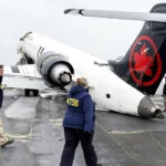 'Like the plane got cut in half