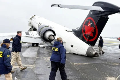 'Like the plane got cut in half