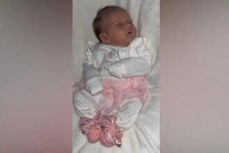 A three-month-old baby girl tragically dies after a dog attack in Dormanstown, Redcar. Family shares emotional tribute as police investigate the incident.