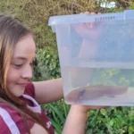 Chris Newman, director of the National Centre for Reptile Welfare, said Evie probably saved Dippy's life.