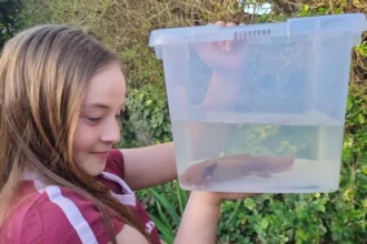 Chris Newman, director of the National Centre for Reptile Welfare, said Evie probably saved Dippy's life.