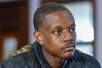 Bellarmine Mugabe Pleads Guilty in South Africa Gun Case After Violent Incident in Johannesburg