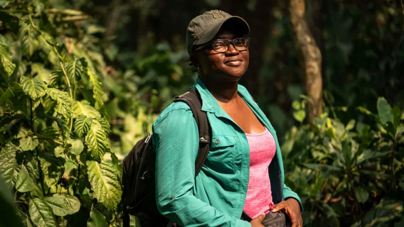 Nigerian Scientist Wins Global Recognition for Bat Conservation Efforts Wildfires Spark a Conservation Mission Nigerian ecologist Iroro Tanshi began her conservation work after witnessing the impact of wildfires in Afi Mountain Wildlife Sanctuary in south eastern Nigeria. During her field research, she discovered the short tailed roundleaf bat, a species not widely seen for nearly 50 years. Shortly after this discovery, she observed that uncontrolled fires were putting the species at serious risk. Instead of focusing only on research, she shifted her attention to protecting both the bats and their habitat. She identified human caused wildfires as one of the main threats to survival in the region. Community Led Fire Prevention Strategy To address the issue, Tanshi worked closely with local communities living around the sanctuary. She helped establish community fire brigades that actively monitor and prevent wildfires. Between 2022 and May 2025, these efforts stopped major fire outbreaks across a large protected area of 24700 acres. Her approach linked conservation with everyday community challenges. By addressing fire risks that directly affected local livelihoods, she built trust and participation among residents. Changing Beliefs About Bats In many parts of Nigeria, bats are often linked to superstition and witchcraft, which leads to fear and misunderstanding. Tanshi and her team worked to change these beliefs through education campaigns. They used different forms of communication, especially outreach programs for children, to explain the ecological importance of bats. She emphasized that bats play a key role in ecosystems by dispersing seeds and supporting plant growth. She also highlighted how everyday products rely on bats. For example, she explained that shea butter production benefits from bat driven seed dispersal. Global Recognition for Environmental Impact Her work earned her the Goldman Environmental Prize, a major international award recognizing grassroots environmental leadership. The award highlights her success in combining science, education, and community engagement to protect endangered wildlife. Tanshi currently works as a postdoctoral researcher at the University of Washington, where she continues her focus on bat conservation.