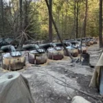 Two American officials and two Mexican officers died in a vehicle crash in northern Mexico. The group had returned from an operation targeting illegal drug production sites in Chihuahua state. Local authorities said the vehicle lost control on the road and fell into a ravine. The impact caused a fire after the crash. All four people died at the scene. Officials stated the team had spent several hours traveling after taking part in the operation. Role of US officials comes under review Mexican authorities are now examining the involvement of the US personnel in the operation. State officials described them as instructors linked to the US embassy who were assisting with training activities. However, Mexico’s president raised concerns about whether proper approval was granted. She said federal authorities were not informed about any joint activity involving US personnel and state forces. The president stressed that foreign officials must receive federal authorization before participating in any field operations inside Mexico. Investigation into coordination and legal limits The federal government has requested detailed information from both local and foreign authorities. Officials want to confirm whether the operation followed national security laws. Mexico allows cooperation with the United States in areas such as intelligence sharing. However, it does not permit joint field operations without central government approval. Authorities are now reviewing whether the activity stayed within those limits. Political pressure and sovereignty concerns Tensions around drug trafficking continue to shape relations between Mexico and the United States. The United States has urged stronger action against drug cartels. Mexico has responded by emphasizing national sovereignty. The president has repeatedly said that foreign forces cannot operate independently on Mexican soil. She said cooperation exists, but only under clear legal frameworks approved at the federal level. Reports about US agency involvement Some reports suggest the deceased US officials may have worked in intelligence roles focused on counter narcotics efforts in the region. These claims have not been officially confirmed. The US embassy has described them as personnel involved in training related work. Authorities on both sides are still gathering facts about their exact role in the operation.