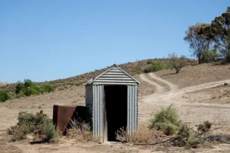 A woman was rescued after falling into a collapsed pit toilet in the Australian outback and being trapped for three hours before a passerby helped save her.
