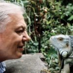 David Attenborough Overwhelmed by Global Birthday Wishes Ahead of 100th Celebration A heartfelt message from Sir David Sir David Attenborough has shared that he feels deeply moved and “completely overwhelmed” by the huge number of birthday messages he has received ahead of his 100th birthday. In an audio message released on Thursday, the legendary broadcaster explained that he originally expected a quiet celebration. However, he said the public response has been far beyond anything he imagined. He received messages from people of all ages, including preschool children, families, and residents in care homes. He thanked everyone warmly and said it was not possible to reply to each message individually. Plans for the 100th birthday celebration Sir David will turn 100 on Friday. A special event is planned in the evening at the Royal Albert Hall in London to mark the milestone. The celebration is part of a week filled with tributes, broadcasts, and special programming highlighting his life and work in natural history. Star studded concert at Royal Albert Hall The evening show will bring together well known personalities and performers to honour his legacy. Guests include Sir Michael Palin, Steve Backshall, Liz Bonnin, and Chris Packham, who will reflect on his impact on wildlife storytelling and environmental awareness. The event will also feature live performances from the BBC Concert Orchestra, with music inspired by his most famous documentaries such as Planet Earth II and Frozen Planet II. Music and wildlife moments on stage The concert will revisit some of the most iconic scenes from his career. These include dramatic wildlife sequences such as ocean waves with orcas and high energy predator chases from the natural world series. Musical performances will include Bastille frontman Dan Smith performing Pompeii, a track featured in Planet Earth III promotions. The Icelandic band Sigur Rós will also perform Hoppípolla, known from Planet Earth promotions. Other performers include singer Sienna Spiro and harpist Francisco Yglesia. A legacy that shaped nature storytelling Sir David Attenborough has spent decades bringing the natural world to global audiences. His work has helped people better understand wildlife, conservation, and the planet’s fragile ecosystems. The upcoming celebration reflects both his personal milestone and his lasting influence on environmental awareness worldwide.