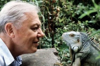 David Attenborough Overwhelmed by Global Birthday Wishes Ahead of 100th Celebration A heartfelt message from Sir David Sir David Attenborough has shared that he feels deeply moved and “completely overwhelmed” by the huge number of birthday messages he has received ahead of his 100th birthday. In an audio message released on Thursday, the legendary broadcaster explained that he originally expected a quiet celebration. However, he said the public response has been far beyond anything he imagined. He received messages from people of all ages, including preschool children, families, and residents in care homes. He thanked everyone warmly and said it was not possible to reply to each message individually. Plans for the 100th birthday celebration Sir David will turn 100 on Friday. A special event is planned in the evening at the Royal Albert Hall in London to mark the milestone. The celebration is part of a week filled with tributes, broadcasts, and special programming highlighting his life and work in natural history. Star studded concert at Royal Albert Hall The evening show will bring together well known personalities and performers to honour his legacy. Guests include Sir Michael Palin, Steve Backshall, Liz Bonnin, and Chris Packham, who will reflect on his impact on wildlife storytelling and environmental awareness. The event will also feature live performances from the BBC Concert Orchestra, with music inspired by his most famous documentaries such as Planet Earth II and Frozen Planet II. Music and wildlife moments on stage The concert will revisit some of the most iconic scenes from his career. These include dramatic wildlife sequences such as ocean waves with orcas and high energy predator chases from the natural world series. Musical performances will include Bastille frontman Dan Smith performing Pompeii, a track featured in Planet Earth III promotions. The Icelandic band Sigur Rós will also perform Hoppípolla, known from Planet Earth promotions. Other performers include singer Sienna Spiro and harpist Francisco Yglesia. A legacy that shaped nature storytelling Sir David Attenborough has spent decades bringing the natural world to global audiences. His work has helped people better understand wildlife, conservation, and the planet’s fragile ecosystems. The upcoming celebration reflects both his personal milestone and his lasting influence on environmental awareness worldwide.