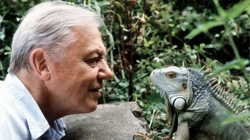 David Attenborough Overwhelmed by Global Birthday Wishes Ahead of 100th Celebration A heartfelt message from Sir David Sir David Attenborough has shared that he feels deeply moved and “completely overwhelmed” by the huge number of birthday messages he has received ahead of his 100th birthday. In an audio message released on Thursday, the legendary broadcaster explained that he originally expected a quiet celebration. However, he said the public response has been far beyond anything he imagined. He received messages from people of all ages, including preschool children, families, and residents in care homes. He thanked everyone warmly and said it was not possible to reply to each message individually. Plans for the 100th birthday celebration Sir David will turn 100 on Friday. A special event is planned in the evening at the Royal Albert Hall in London to mark the milestone. The celebration is part of a week filled with tributes, broadcasts, and special programming highlighting his life and work in natural history. Star studded concert at Royal Albert Hall The evening show will bring together well known personalities and performers to honour his legacy. Guests include Sir Michael Palin, Steve Backshall, Liz Bonnin, and Chris Packham, who will reflect on his impact on wildlife storytelling and environmental awareness. The event will also feature live performances from the BBC Concert Orchestra, with music inspired by his most famous documentaries such as Planet Earth II and Frozen Planet II. Music and wildlife moments on stage The concert will revisit some of the most iconic scenes from his career. These include dramatic wildlife sequences such as ocean waves with orcas and high energy predator chases from the natural world series. Musical performances will include Bastille frontman Dan Smith performing Pompeii, a track featured in Planet Earth III promotions. The Icelandic band Sigur Rós will also perform Hoppípolla, known from Planet Earth promotions. Other performers include singer Sienna Spiro and harpist Francisco Yglesia. A legacy that shaped nature storytelling Sir David Attenborough has spent decades bringing the natural world to global audiences. His work has helped people better understand wildlife, conservation, and the planet’s fragile ecosystems. The upcoming celebration reflects both his personal milestone and his lasting influence on environmental awareness worldwide.