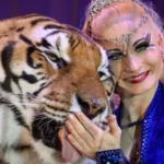 An escaped tiger near Leipzig was shot by police after a serious attack on its keeper inside a private animal facility. Investigation is ongoing.