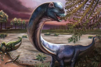 Giant New Dinosaur Discovered in Thailand
