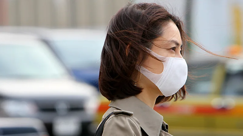 Japan Faces Rising Allergy Crisis Linked to Old Forest Policy