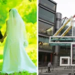Serious allegations involving Married at First Sight UK have triggered an official investigation call, regulatory concern