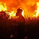Global Temperature Warning as Strong El Niño Likely to Form Soon