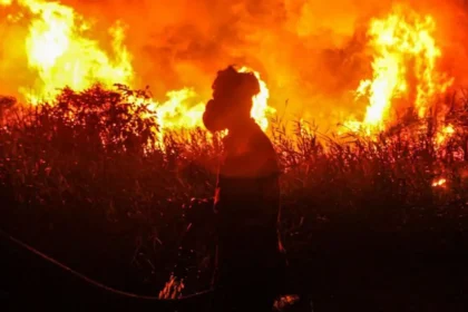 Global Temperature Warning as Strong El Niño Likely to Form Soon