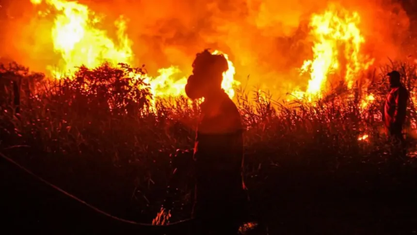 Global Temperature Warning as Strong El Niño Likely to Form Soon