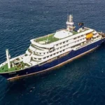 Hantavirus Outbreak Reported on Atlantic Cruise Ship Incident Overview Health authorities have reported a serious hantavirus situation on a cruise ship sailing across the Atlantic Ocean. The vessel, MV Hondius operated by Oceanwide Expeditions, was traveling from Argentina toward Cape Verde when multiple passengers fell ill. Three people have died during the incident. A Dutch married couple and a German passenger were among the deceased. Officials have confirmed two hantavirus cases so far, including a Dutch woman who later died after leaving the ship. Investigations continue to determine the exact cause of the remaining deaths. Two crew members also developed breathing related symptoms while on board. One showed mild illness and the other required urgent medical attention. What Is Hantavirus Hantavirus refers to a group of viruses carried mainly by rodents. Humans usually become infected when they breathe in particles contaminated with rodent urine, droppings, or saliva. This virus does not typically spread from person to person. Infection usually happens in environments where rodent activity is present and contaminated dust becomes airborne. People may also get infected through rodent bites or scratches, but this is less common. How the Virus Spreads The main transmission route involves inhalation of infected particles in the air. When dried rodent waste is disturbed, it can release virus particles into the environment. Risk increases in enclosed or poorly cleaned areas where rodents live or have lived. Travel environments, storage areas, or remote locations can increase exposure risk if rodent control is weak. Symptoms and Health Risks Hantavirus Pulmonary Syndrome This form affects the lungs. Early signs include fever, fatigue, and muscle pain. As the illness progresses, patients may experience headaches, dizziness, chills, and stomach discomfort. Breathing problems can develop suddenly. In severe cases, the condition becomes life threatening. Health data shows a high death rate once respiratory symptoms begin. Hemorrhagic Fever with Kidney Complications This form affects the kidneys and blood vessels. Symptoms may include low blood pressure, bleeding inside the body, and kidney failure. It can become severe without fast medical care. Current Cases Under Investigation A 69 year old British passenger is currently in intensive care in South Africa and has tested positive for hantavirus. The Dutch woman who died after leaving the ship also tested positive. Health officials are still testing crew members who showed respiratory symptoms. Results have not yet confirmed whether they are infected with the virus.