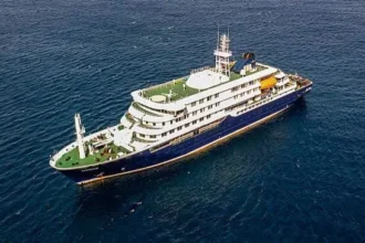 Hantavirus Outbreak Reported on Atlantic Cruise Ship Incident Overview Health authorities have reported a serious hantavirus situation on a cruise ship sailing across the Atlantic Ocean. The vessel, MV Hondius operated by Oceanwide Expeditions, was traveling from Argentina toward Cape Verde when multiple passengers fell ill. Three people have died during the incident. A Dutch married couple and a German passenger were among the deceased. Officials have confirmed two hantavirus cases so far, including a Dutch woman who later died after leaving the ship. Investigations continue to determine the exact cause of the remaining deaths. Two crew members also developed breathing related symptoms while on board. One showed mild illness and the other required urgent medical attention. What Is Hantavirus Hantavirus refers to a group of viruses carried mainly by rodents. Humans usually become infected when they breathe in particles contaminated with rodent urine, droppings, or saliva. This virus does not typically spread from person to person. Infection usually happens in environments where rodent activity is present and contaminated dust becomes airborne. People may also get infected through rodent bites or scratches, but this is less common. How the Virus Spreads The main transmission route involves inhalation of infected particles in the air. When dried rodent waste is disturbed, it can release virus particles into the environment. Risk increases in enclosed or poorly cleaned areas where rodents live or have lived. Travel environments, storage areas, or remote locations can increase exposure risk if rodent control is weak. Symptoms and Health Risks Hantavirus Pulmonary Syndrome This form affects the lungs. Early signs include fever, fatigue, and muscle pain. As the illness progresses, patients may experience headaches, dizziness, chills, and stomach discomfort. Breathing problems can develop suddenly. In severe cases, the condition becomes life threatening. Health data shows a high death rate once respiratory symptoms begin. Hemorrhagic Fever with Kidney Complications This form affects the kidneys and blood vessels. Symptoms may include low blood pressure, bleeding inside the body, and kidney failure. It can become severe without fast medical care. Current Cases Under Investigation A 69 year old British passenger is currently in intensive care in South Africa and has tested positive for hantavirus. The Dutch woman who died after leaving the ship also tested positive. Health officials are still testing crew members who showed respiratory symptoms. Results have not yet confirmed whether they are infected with the virus.