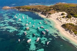 Australian shark attack near Rottnest Island leaves father of two dead Incident at Horseshoe Reef An Australian man lost his life after a shark attack while spearfishing off Western Australia. The incident took place around 10:00 local time at Horseshoe Reef, northwest of Rottnest Island near Perth. The victim, Steven Mattaboni, aged 38, was in the water with friends about 1 kilometer from shore when a large shark, estimated around 4 meters long, bit him on the lower leg. Rescue attempt by friends Friends quickly brought him back to shore after the attack. Emergency teams arrived soon after, but they were unable to save him. Police described the event as a severe and distressing attack. Officers confirmed that witnesses saw the full incident unfold. Family statement and personal tribute His wife, Shirene Mattaboni, described him as a loving father and devoted partner. She said he deeply cared for their two young daughters, including a baby aged four months and another child turning three next month. She shared that he loved the ocean and spent much of his time fishing. She described him as generous, loyal, and kind, saying the family feels deep grief after the sudden loss. Tributes from community and sport club The Kingsley Amateur Football Club in Perth paid tribute to him, remembering him as a valued member and a friend to many. The club said he was known for his warm personality and positive presence. The Australian Underwater Federation also expressed sympathy. Its president noted that spearfishing carries risks, even though safety measures are used in organized settings such as boats and shark spotting systems. He added that recreational diving can leave people more exposed because conditions are less controlled. Official police details WA Police Sergeant Michael Wear said the attack happened while Mattaboni was close to his boat, about 20 meters away at the time. Friends witnessed the incident and immediately tried to help. Authorities continue to remind the public about ocean safety risks in shark active waters.