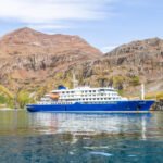 hantavirus outbreak cruise ship MV Hondius