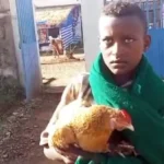 12 year old boy takes sick chicken to hospital Ethiopia