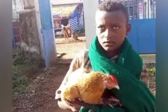 12 year old boy takes sick chicken to hospital Ethiopia