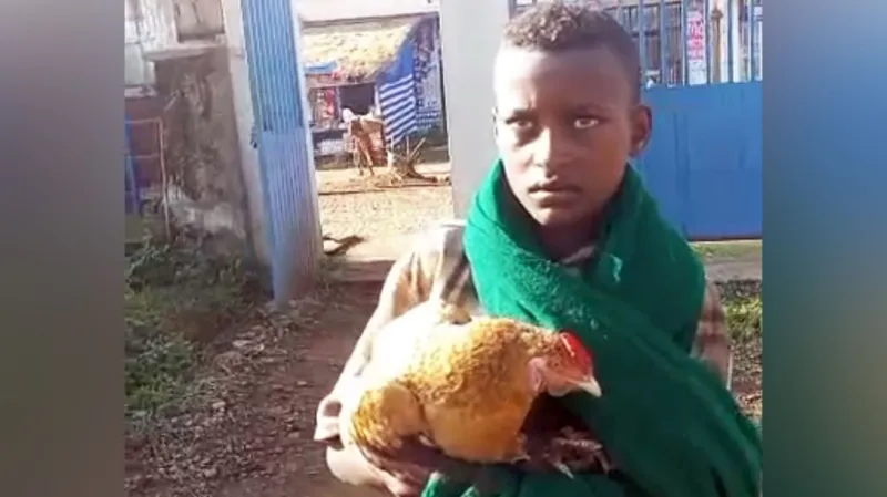 12 year old boy takes sick chicken to hospital Ethiopia