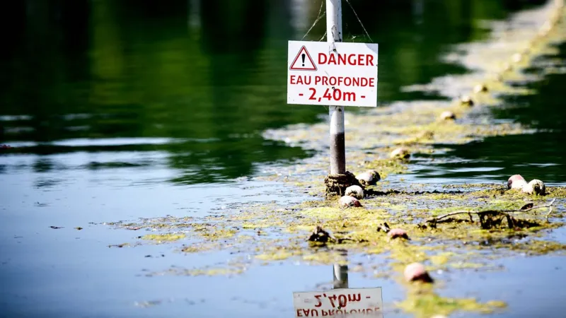 Heatwave in Europe leads to rising drowning deaths in France as temperatures hit record highs