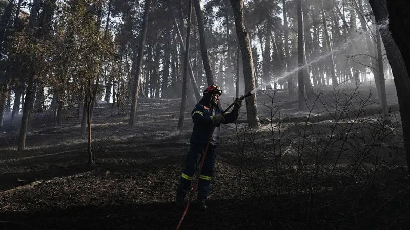 Deadly Greek wildfire