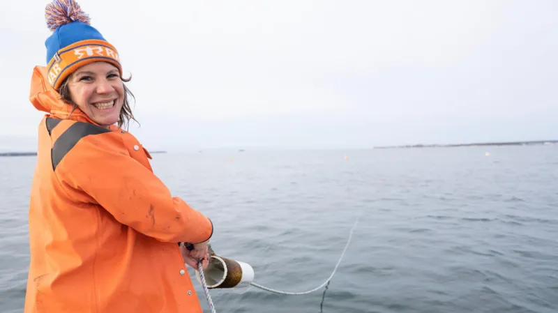 seaweed farming