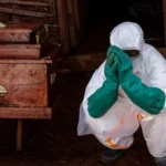 Three Ebola Vaccines Under Development as New Outbreak Raises Global Concern