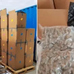 Three people have been arrested in South Wales after UK authorities seized 12 tonnes of cannabis worth £139m in a major international drug trafficking investigation.