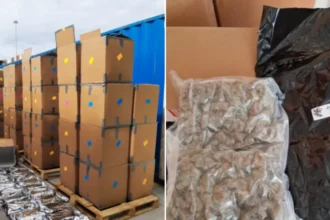 Three people have been arrested in South Wales after UK authorities seized 12 tonnes of cannabis worth £139m in a major international drug trafficking investigation.
