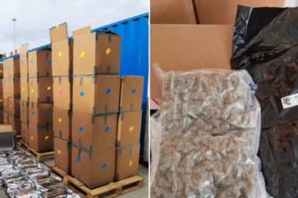 Three people have been arrested in South Wales after UK authorities seized 12 tonnes of cannabis worth £139m in a major international drug trafficking investigation.