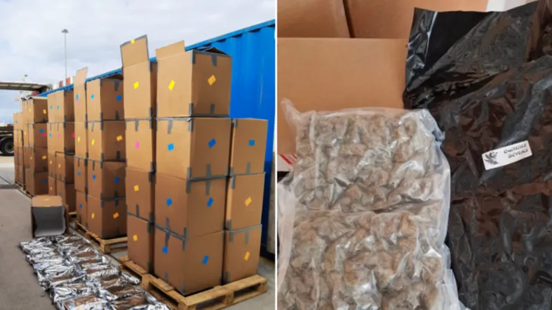 Three people have been arrested in South Wales after UK authorities seized 12 tonnes of cannabis worth £139m in a major international drug trafficking investigation.