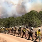 Three firefighters die battling huge wildfires on Colorado-Utah border
