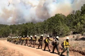 Three firefighters die battling huge wildfires on Colorado-Utah border