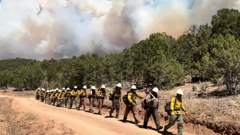 Three firefighters die battling huge wildfires on Colorado-Utah border