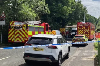 Woman dead and girl, 8, injured as train hits car