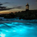 Electric blue waves light up Anglesey beach as bioluminescent plankton glow in the dark Rare night glow draws photographers to Penmon Point A stunning natural light show lit up the sea at Penmon Point on Anglesey, where waves turned bright electric blue due to bioluminescent plankton. The rare glow attracted photographers and locals who gathered along the beach to witness the display. The phenomenon happens when tiny marine organisms in the water produce light after being disturbed by movement in the sea. On this night, the effect created bright flashes that looked like glowing sparks across the waves. Photographer travels hundreds of miles for the moment A photographer, Paul Joels, 44, traveled from Nottinghamshire to Wales after hearing reports of the glowing sea. He spent more than seven hours on the journey to capture the scene. He said night photography is something he enjoys deeply, and bioluminescence has always been a challenge to catch. Some trips work out, while others do not, but he said that uncertainty is part of the experience. He also acknowledged that some people might think the long trip is unusual, but said the result made it worthwhile. Lucky timing brings strong display Charlotte Kite, 45, from Denbigh, also joined the group on the beach after earlier sightings of the glow in the area. She had tried several times before to photograph bioluminescence without success. This time, she arrived around 11 pm with a small group of photographers and finally saw a strong display in the water. She described the scene as flashes of electric blue light that looked like lightning hitting the sea. She added that the brightness seen in photos was very close to what the eye could see in real time. What causes the glowing sea Bioluminescence is created by microscopic plankton that emit light when disturbed. Movement from waves or predators triggers the glow, producing bright blue streaks across the water. On this night, conditions aligned perfectly, creating a vivid natural light show that lasted long enough for visitors to capture photographs.