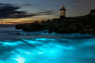 Electric blue waves light up Anglesey beach as bioluminescent plankton glow in the dark Rare night glow draws photographers to Penmon Point A stunning natural light show lit up the sea at Penmon Point on Anglesey, where waves turned bright electric blue due to bioluminescent plankton. The rare glow attracted photographers and locals who gathered along the beach to witness the display. The phenomenon happens when tiny marine organisms in the water produce light after being disturbed by movement in the sea. On this night, the effect created bright flashes that looked like glowing sparks across the waves. Photographer travels hundreds of miles for the moment A photographer, Paul Joels, 44, traveled from Nottinghamshire to Wales after hearing reports of the glowing sea. He spent more than seven hours on the journey to capture the scene. He said night photography is something he enjoys deeply, and bioluminescence has always been a challenge to catch. Some trips work out, while others do not, but he said that uncertainty is part of the experience. He also acknowledged that some people might think the long trip is unusual, but said the result made it worthwhile. Lucky timing brings strong display Charlotte Kite, 45, from Denbigh, also joined the group on the beach after earlier sightings of the glow in the area. She had tried several times before to photograph bioluminescence without success. This time, she arrived around 11 pm with a small group of photographers and finally saw a strong display in the water. She described the scene as flashes of electric blue light that looked like lightning hitting the sea. She added that the brightness seen in photos was very close to what the eye could see in real time. What causes the glowing sea Bioluminescence is created by microscopic plankton that emit light when disturbed. Movement from waves or predators triggers the glow, producing bright blue streaks across the water. On this night, conditions aligned perfectly, creating a vivid natural light show that lasted long enough for visitors to capture photographs.
